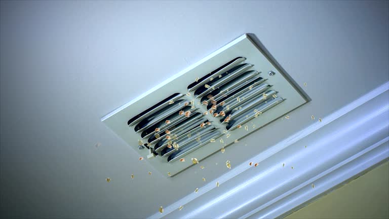 Best Residential Air Duct Cleaning  in Taos Pueblo, NM
